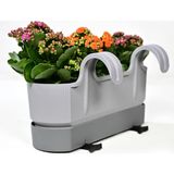 Empressco 1 Adet Ixora Çift Askılı Balkon Saksısı Gri Renk 5,8 Lt Genişlik 39,5 cm Yükseklik 22 cm Derinlik 17 - Fiyatı, Yorumları