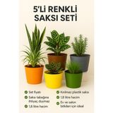 Empressco 5 Adet Renkli Kırılmaz Plastik Saksı Seti | Tabaksız Kullanım | 1,8 Litre | Ev & Salon Için - Fiyatı, Yorumları