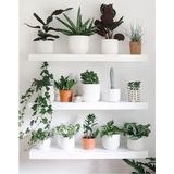 Empressco 50X15CM Beyaz Duvar Rafı, Duvar Dekorasyonu, Kitaplık - Seçenek 1 - 00-Siyah - Beyaz