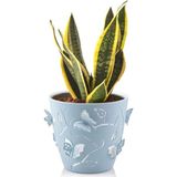 Empressco 5,3 Litre Mavi 3D Kelebek Desenli Su Hazneli Dekoratif Plastik Saksı No1 Ø22,3X20,5CM - Fiyatı, Yorumları