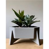 Empressco Altıgen Tasarım Saksı - Modern Dekoratif Planter