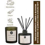 Empressco Amber & Blossom Soya Mumu ve Çubuklu Oda Kokusu Seti - Seçenek 1