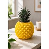 Empressco Ananas Formlu Sukulent Saksısı I Kaktüs Saksısı - Fiyatı, Yorumları