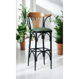 Empressco Bar Sandalyesi Özel Üretim YEŞIL-KAHVE-T169/75 (Oturma Yüksekliği 75CM) Metal Iskelet, Ahşap Kolçak - Seçenek 1