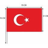 Empressco Bayrak 10 Adet 50X70 cm Pikment Kumaş Sopalı Türk Bayrağı - Fiyatı, Yorumları - -- - Seçenek 1