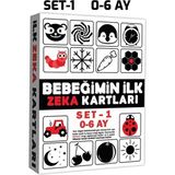 Empressco Bebekler Için Eğitici Zeka Kartları Seti 0-6 Ay, Renkli ve Eğlenceli - Seçenek 1