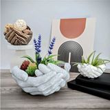 Empressco Beyaz Renkli Avuç Saksı, 8cm, Şık ve Modern Dekoratif Seçenek