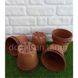 Empressco Çiçek Saksısı 15X13 cm 40 Adet Fide Saksısı Thermoform Tohum Ekim Saksısı Vakum Saksı Bitki Saksısı - Fiyatı, Yorumları