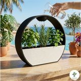 Empressco Dekoratif Damla Sulama Sistemli Modern Saksı - 3 Parçalı Tasarım / Sukulent Bitki Saksısı - Fiyatı, Yorumları
