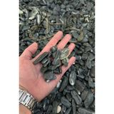 Empressco Green Angel Dolomit Çakıl Taşı Yeşil Beyaz Çizgili 1-2 cm 10 kg Dekoratif Bahçe Saksı Akvaryum Taşı - Fiyatı, Yorumları