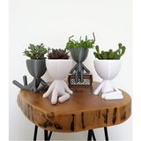 Empressco Gri Beyaz Saksı Seti, 4'lü, Şık ve Dayanıklı, Ev Için Modern Tasarım