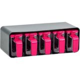 Empressco Herevin 5X250 cc Baharatlık Seti-Fuşya-Gri Kasa - Fiyatı, Yorumları - Ahşap - 1 lt