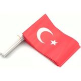 Empressco Kağıt Bayrak Çubuklu 40 Adet ( 20 x 30 cm Ebat ) Türk Bayrağı - Fiyatı, Yorumları - -- - Seçenek 1