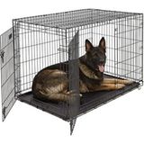Empressco Katlanabilir Metal Köpek Kafesi, 122X76X84 Cm, Dayanıklı ve Pratik Kullanım