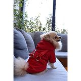 Empressco Kırmızı Tasmalı Köpek ve Kedi Iç Mekan Montu, Rahat ve Şık Tasarım - Seçenek 1