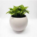 Empressco Küre Saksı Modern Dekoratif Plastik Saksı 7,5 Litre (Içsiz) - Fiyatı, Yorumları
