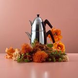 Empressco Large Induction-Compatible Teapot For Stylish Tea Preparation - Ahşap Rengi - Seçenek 1