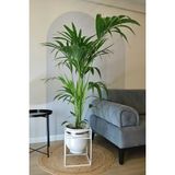 Empressco Metal Saksı Ayaklı Çiçeklik Beyaz Saksı Ayaklı Gümüş Vazo Dekoratif Saksılık 41X30 - Seçenek 1 - Abanoz