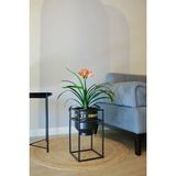 Empressco Metal Saksı Ayaklı Çiçeklik Dekoratif Siyah Gold Detaylı Saksı Vazo Vase Saksılık 41X21CM - Seçenek 1 - Akasya