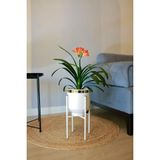 Empressco Metal Saksı Ayaklı Dekoratif Çiçeklik Vazo Beyaz Gold Detaylı Saksılık 41X21CM - Seçenek 1 - Abanoz