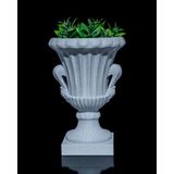 Empressco Modern Roma Cup Vazo/saksı 11X11X14CM Ölçülerinde - Fiyatı, Yorumları