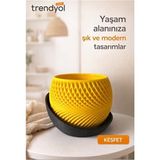 Empressco Modern Sarı Dekoratif Saksı, Şık ve Minimal Tasarım Hediye Alternatifi