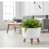 Empressco Modern Stick Line Bambu Ayaklı Saksı Akıllı Altlıklı 23X19 cm 5 Litre - Fiyatı, Yorumları