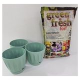 Empressco Papatya Saksı 3 Adet 0,7 Lt 11,5X11 cm Saksı