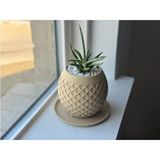 Empressco Petek Desenli Oval Şeklinde Modern Şık Saksı