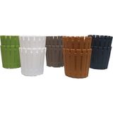 Empressco Renkli Plastik Kaktüs Saksısı, Pastel 5,5 Cm, 10'lu Set