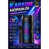 Empressco Rgb Işıklı Kablosuz Bluetooth Hoparlör ve Karaoke Mikrofonlu Radyo - Seçenek 1