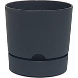 Empressco Şık Antrasit Renkli 9cm Begonya Saksı, Kaliteli ve Modern Tasarım