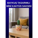 Empressco Şirin Kaktüs Tasarımlı Minik Saksı ile Dekorasyonunuza Renk Katın