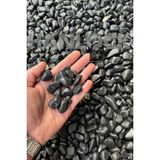 Empressco Siyah Bazalt Taş 10 kg 1-2 cm Dolomit Dere Çakıl Bahçe Peyzaj Süs Taşı Saksı Teraryum Akvaryum Taşı - Fiyatı, Yorumları