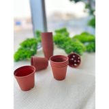Empressco Üretim Saksı 100 Adet 5,5x5 cm Kaktüs Sukulent Üretim Saksısı Renkli Plastik Küçük Kaktüs Saksı - Fiyatı, Yorumları
