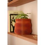 Empressco Venüs | Tasarım Saksı | Sukulent & Kaktüs Saksısı | Dekoratif Hediyelik Eşya | Bakır | 14X13 cm - Fiyatı, Yorumları