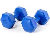 Emre Spor Dambıl Dplastik Dambıl Ağırlık Seti 1 Çift Adet Köşeli Mavi - 10 kg x 2 Adet