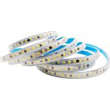 En Parlak Şerit LED 220 Volt Trafosuz Yapışkanlı Dış Mekan Günışığı Işık Fiş + 3 Metre CT-4476 - Gün Işığı