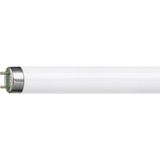 En Parlak Sinek Ampülü Floresan 20W BL T8 Şavk - Mavi - 20 W