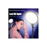 EN SİGA Yeni Profesyonel Ring Light Led Influencer Güzellik Salonu Tatto Tiktok Youtuber Çekim Dolgu Işığı