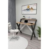 ENDA HOME COLLECTION Ders Çalışma Masası, Ofis ve Bilgisayar Masası Çam ve Antrasit