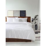 Ender Home DreamSoft Kadife TV & Koltuk Şalı Çift Kişilik – 160x220 Cm - Beyaz - 150 x 220 cm