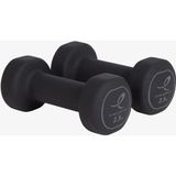 Energetics Siyah 2,5kg DAMBIL.90125 - Gri