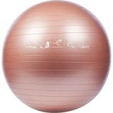 Energetics Unisex Pembe Pilates Topu 55cm