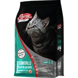 Energy 16x500 gr Somonlu Yetişkin Kuru Kedi Maması