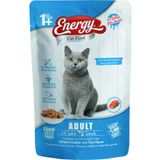 Energy 24x85 gr Somonlu Yetişkin Yaş Pouch Kedi Maması