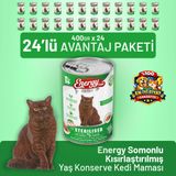 Energy Cat Food Somonlu Kısırlaştırılmış 24x400 gr Kedi Maması