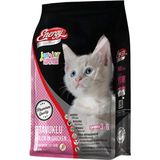Energy Cat Food Tavuklu 1x6 kg Yavru Kedi Maması