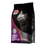 Energy Gurme 16x500 gr Yetişkin Kedi Maması