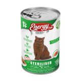 Energy Somonlu Kısırlaştırılmış 400 gr Kedi Maması